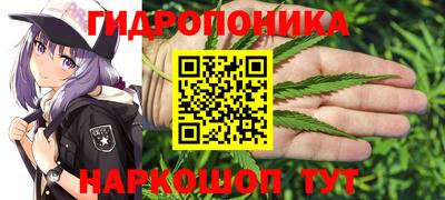 стафф Нягань