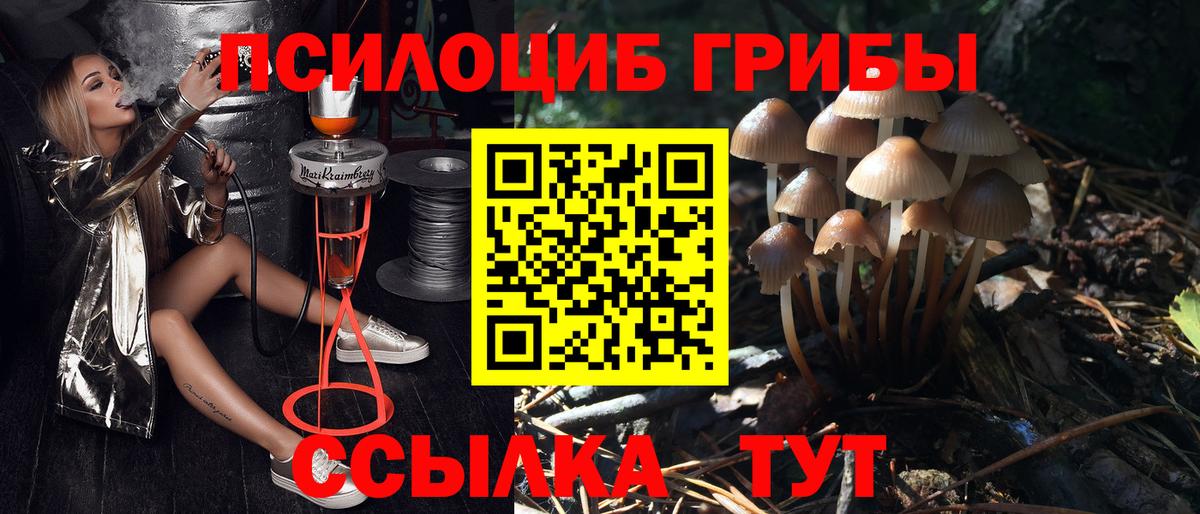 Соль-Илецк  Галлюциногенные грибы прущие грибы  Вход с VPN 